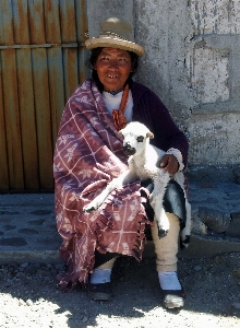 Foto Wanita tua peru domba