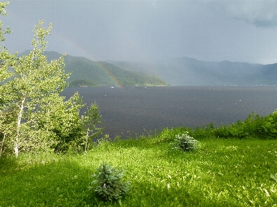 Landscape tree water nature Photo