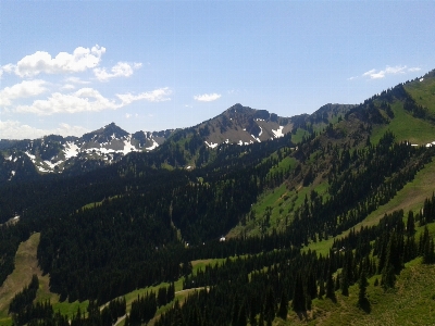 Forest outdoor rock wilderness Photo