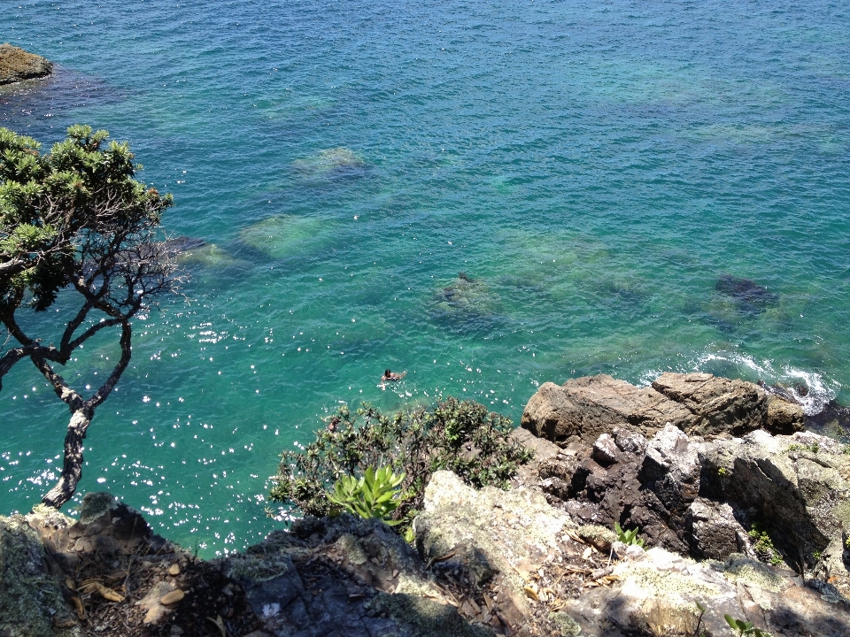 пляж море побережье вода