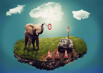 Island auto elephant giraffe Photo