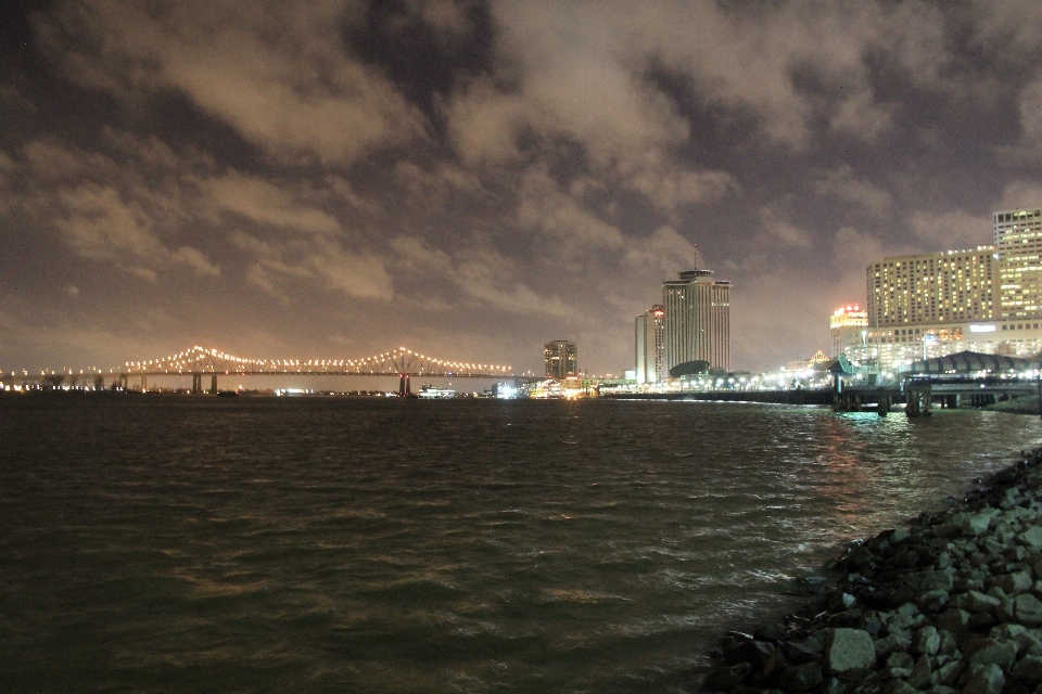 海 海岸 水 海洋