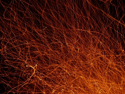 Grass branch light night Photo