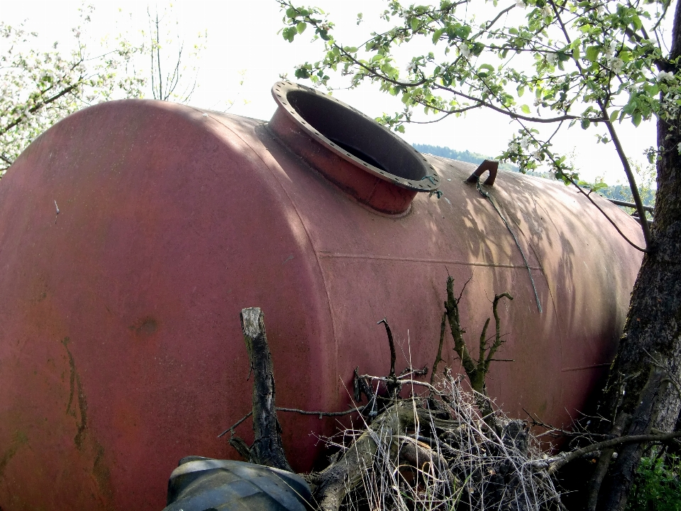 Environnement véhicule cheval rouillé
