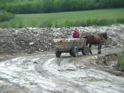 Wilderness wagon cart old Photo