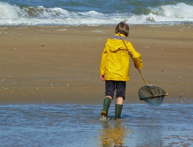 Beach sea coast water Photo