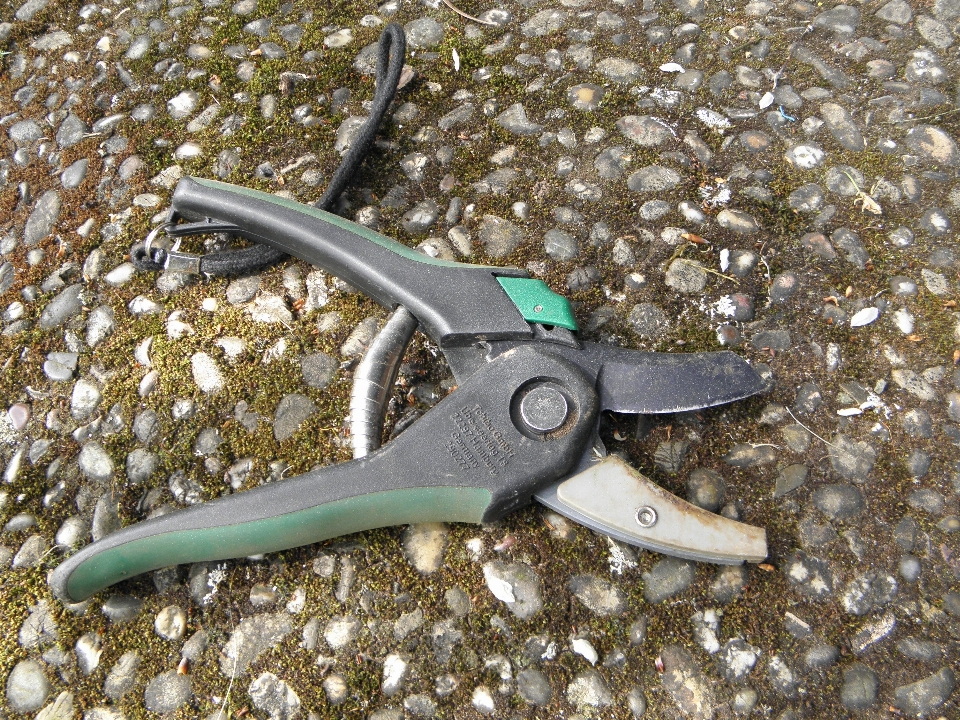 Tree tool pliers thick