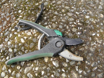 Tree tool pliers thick Photo