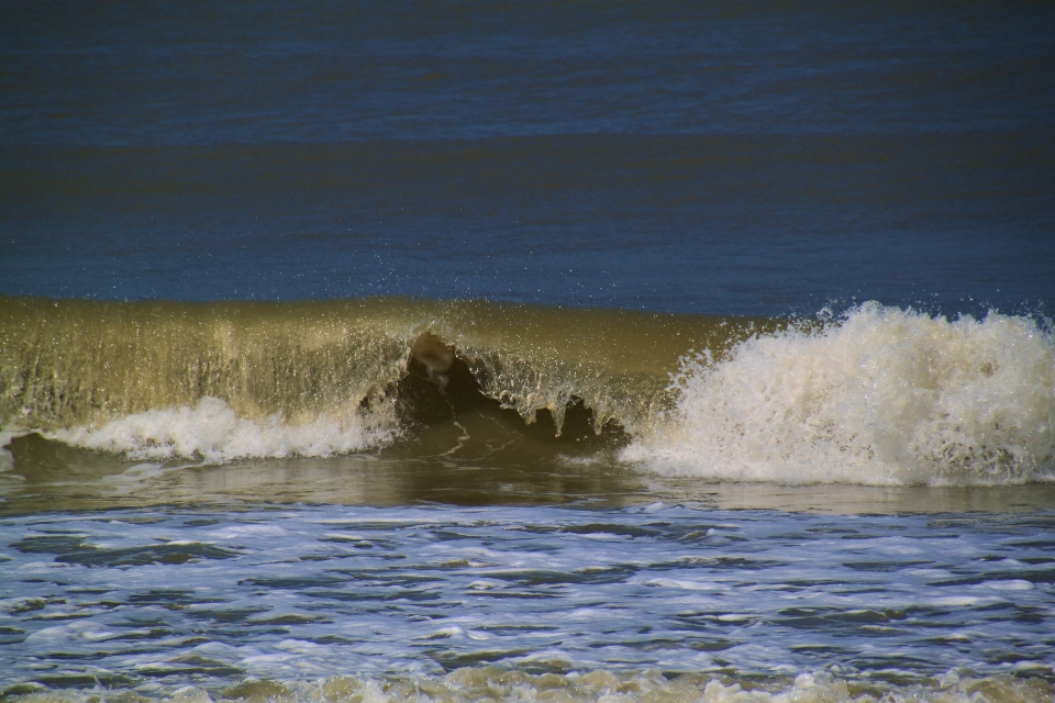 Beach sea coast water