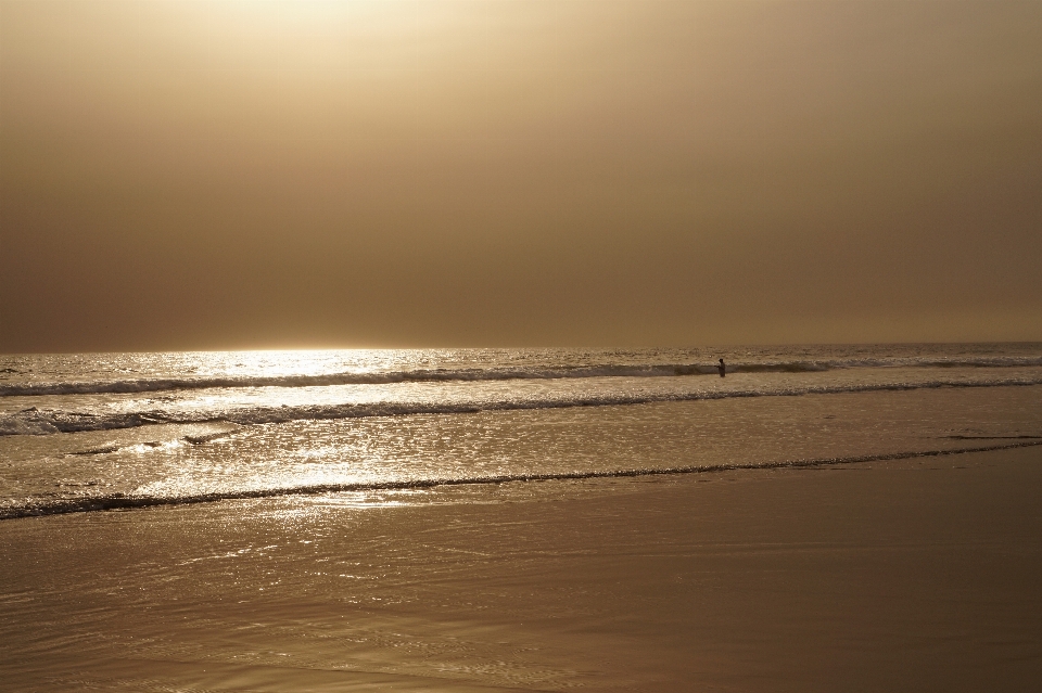 Beach sea coast sand