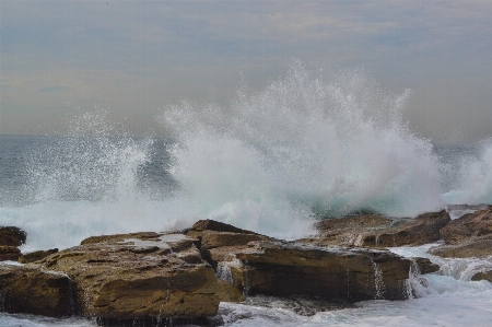 Beach sea coast water Photo