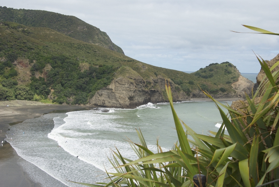 Beach landscape sea coast