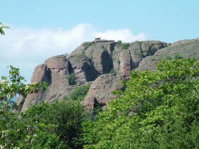 Foto Paisaje árbol naturaleza exterior