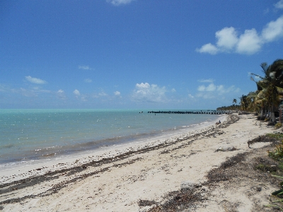 Beach sea coast sand Photo