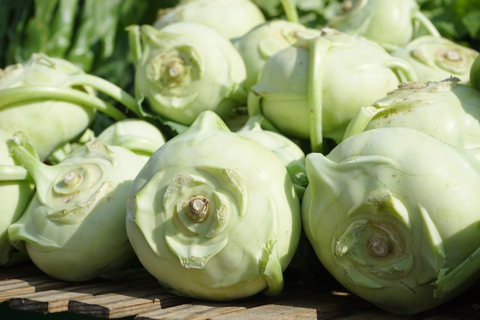 Anlage blume essen produzieren