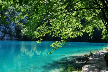 Landschaft baum wasser natur Foto