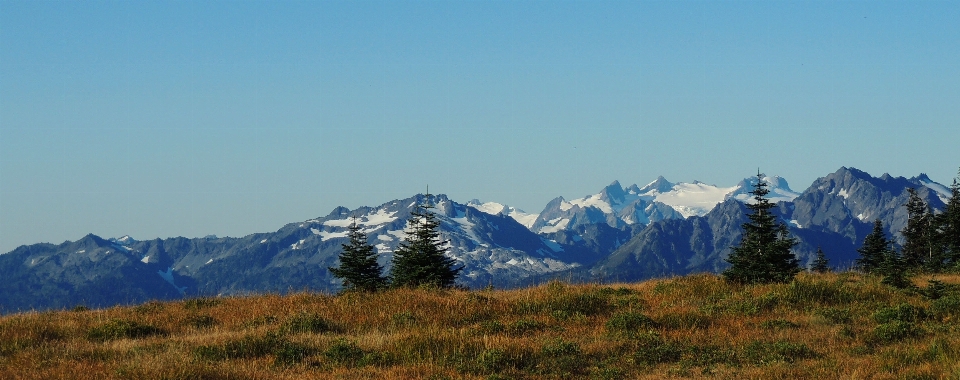 Paisagem árvore natureza ar livre