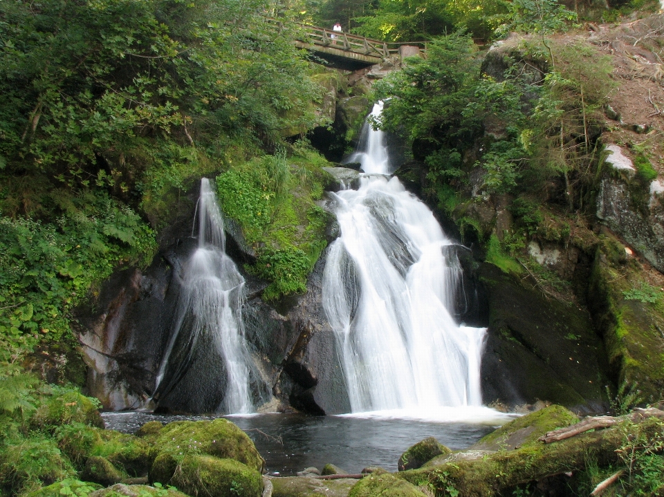 Landschaft natur wasserfall stream