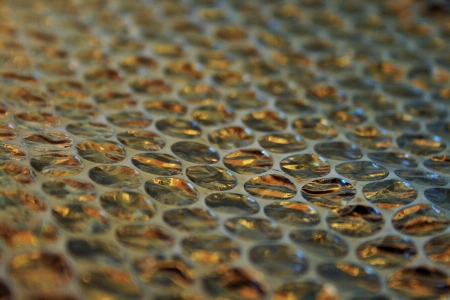 Foto Acqua struttura plastica foglia