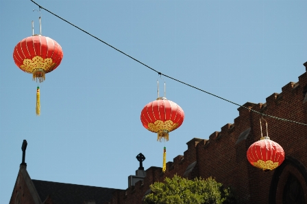 Light flower balloon hot air Photo