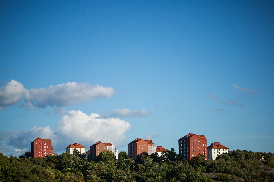 Paysage mer horizon montagne