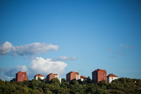 Photo Paysage mer horizon montagne