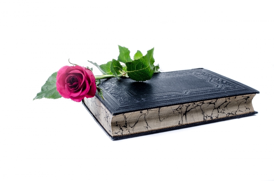 Tableau nature livre fleur