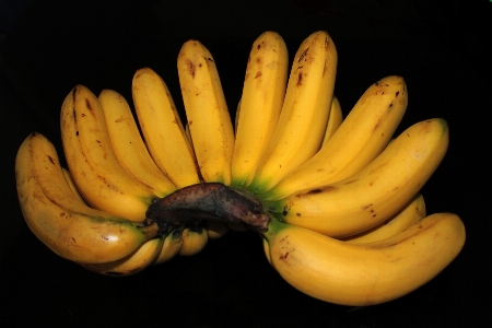 Plant fruit ripe food Photo