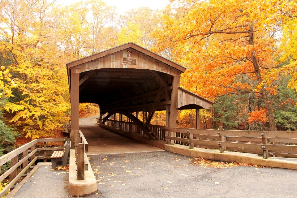 Wood road bridge fall