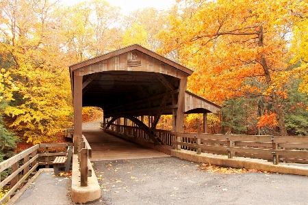 Wood road bridge fall Photo