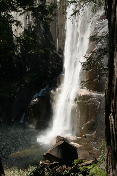 風景 木 水 自然