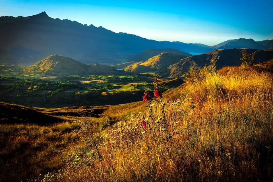 Paesaggio natura erba selvaggia
