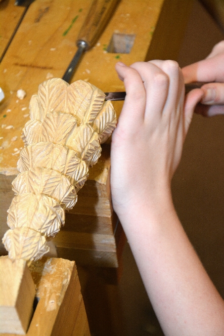 Trabajar mano árbol madera