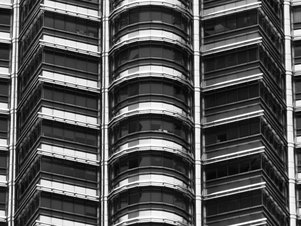 Abstrait noir et blanc
 architecture blanc