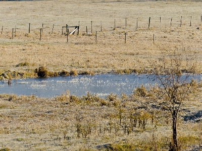 Landscape nature outdoor marsh Photo