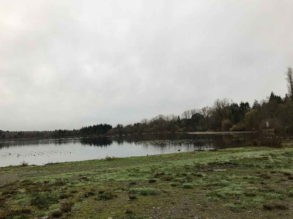 Acqua palude
 nube lago