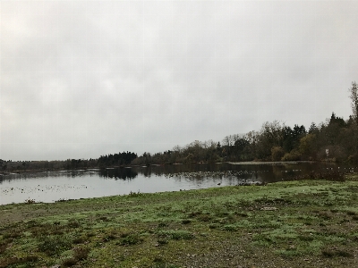 Foto água pântano
 nuvem lago