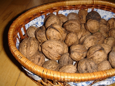 植物 食べ物 生産 ナット 写真