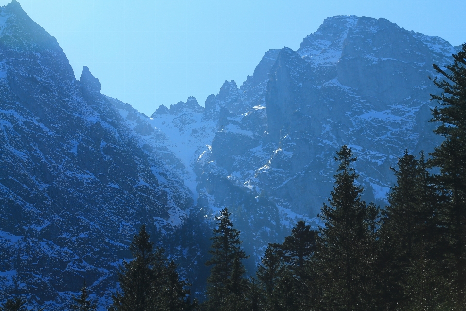 Natur wald wildnis
 berg