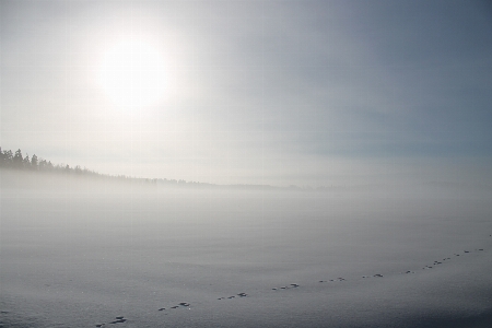 Sea ocean horizon snow Photo