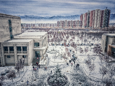 Foto Salju musim dingin kaki langit kota