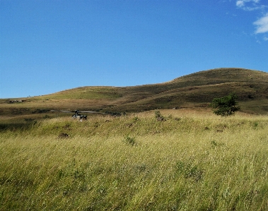 Foto Lanskap alam rumput luar ruangan