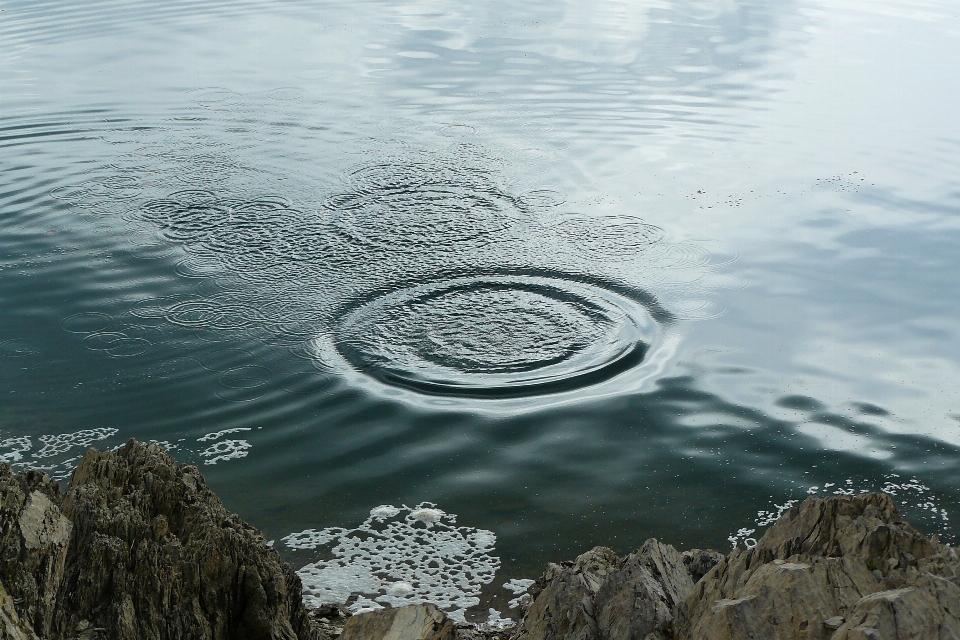 Sea coast water nature