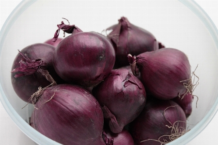 Plant food red produce Photo