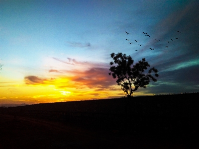 Horizon cloud sky sunrise Photo