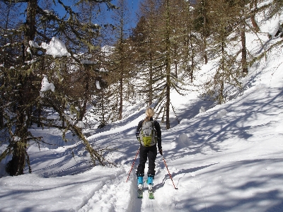 Foto Bosque exterior nieve invierno