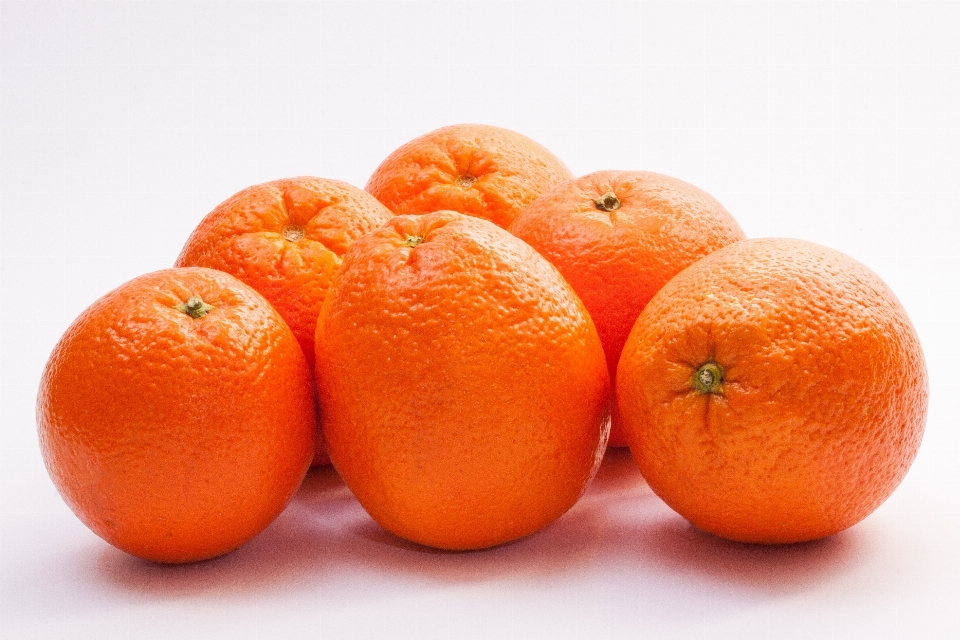 Usine fruit orange nourriture