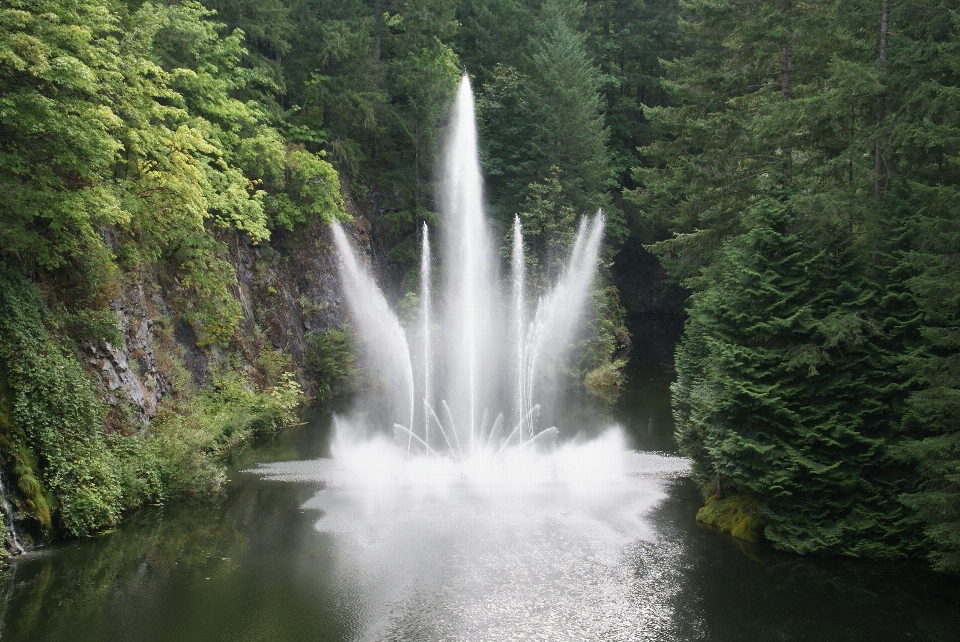 風景 水 森 滝