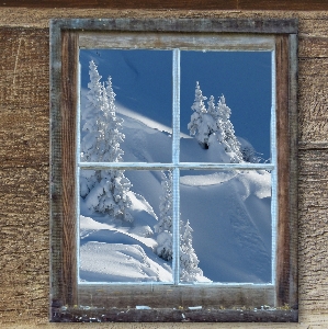 Landscape tree snow winter Photo