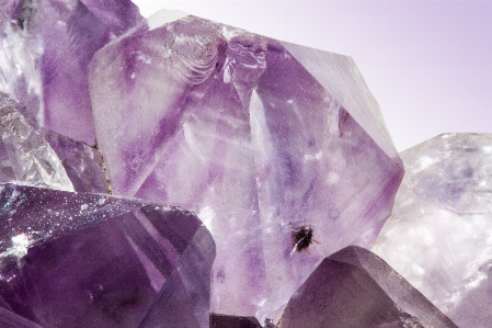 Purple petal stone macro Photo